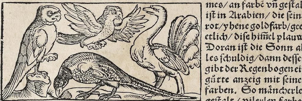 An illustration from Heydenweldt Vnd [und] irer Götter anfängcklicher vrsprung [Ursprung]: durch was verwhänungen den selben etwas vermeynter macht zugemessen, vmb dero wille[n], sie von den alten verehert worden ..., 1554, leaf 392