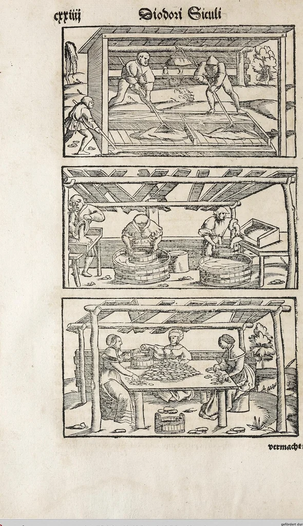 An illustration from Heydenweldt Vnd [und] irer Götter anfängcklicher vrsprung [Ursprung]: durch was verwhänungen den selben etwas vermeynter macht zugemessen, vmb dero wille[n], sie von den alten verehert worden ..., 1554, leaf 408