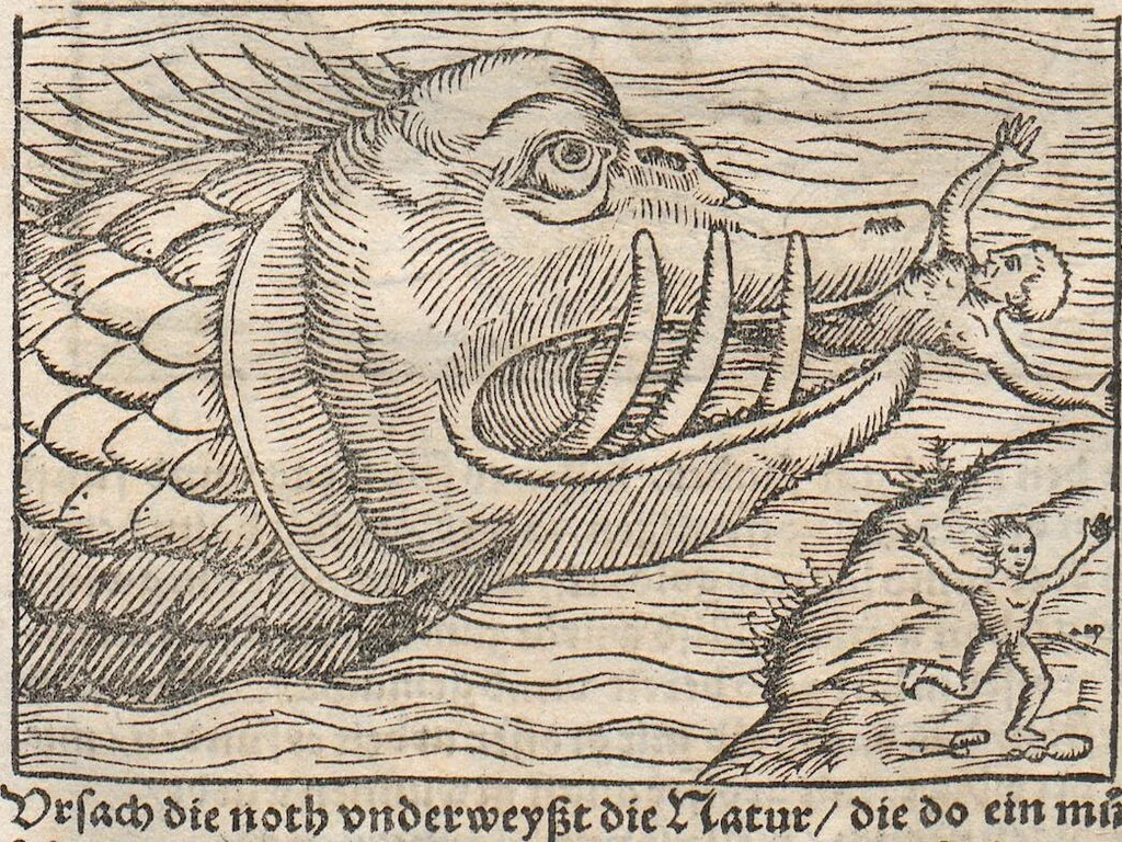 An illustration from Heydenweldt Vnd [und] irer Götter anfängcklicher vrsprung [Ursprung]: durch was verwhänungen den selben etwas vermeynter macht zugemessen, vmb dero wille[n], sie von den alten verehert worden ..., 1554, leaf 410