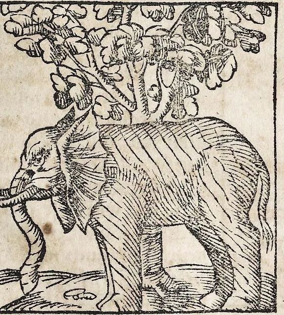 An illustration from Heydenweldt Vnd [und] irer Götter anfängcklicher vrsprung [Ursprung]: durch was verwhänungen den selben etwas vermeynter macht zugemessen, vmb dero wille[n], sie von den alten verehert worden ..., 1554, leaf 415