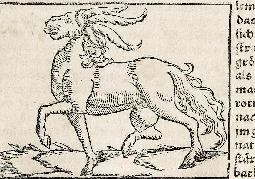 An illustration from Heydenweldt Vnd [und] irer Götter anfängcklicher vrsprung [Ursprung]: durch was verwhänungen den selben etwas vermeynter macht zugemessen, vmb dero wille[n], sie von den alten verehert worden ..., 1554, leaf 421