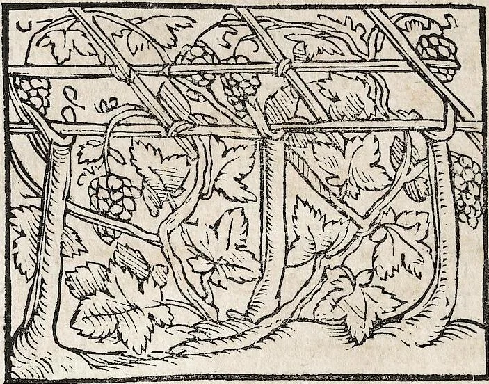 An illustration from Heydenweldt Vnd [und] irer Götter anfängcklicher vrsprung [Ursprung]: durch was verwhänungen den selben etwas vermeynter macht zugemessen, vmb dero wille[n], sie von den alten verehert worden ..., 1554, leaf 442