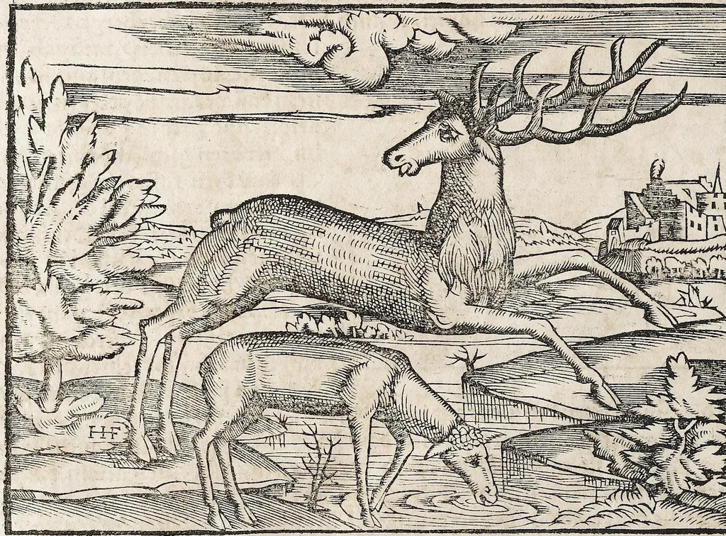 An illustration from Heydenweldt Vnd [und] irer Götter anfängcklicher vrsprung [Ursprung]: durch was verwhänungen den selben etwas vermeynter macht zugemessen, vmb dero wille[n], sie von den alten verehert worden ..., 1554, leaf 462