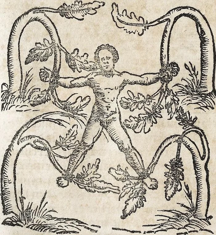 An illustration from Heydenweldt Vnd [und] irer Götter anfängcklicher vrsprung [Ursprung]: durch was verwhänungen den selben etwas vermeynter macht zugemessen, vmb dero wille[n], sie von den alten verehert worden ..., 1554, leaf 496
