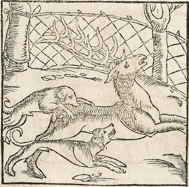 An illustration from Heydenweldt Vnd [und] irer Götter anfängcklicher vrsprung [Ursprung]: durch was verwhänungen den selben etwas vermeynter macht zugemessen, vmb dero wille[n], sie von den alten verehert worden ..., 1554, leaf 513