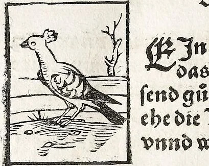 An illustration from Heydenweldt Vnd [und] irer Götter anfängcklicher vrsprung [Ursprung]: durch was verwhänungen den selben etwas vermeynter macht zugemessen, vmb dero wille[n], sie von den alten verehert worden ..., 1554, leaf 704