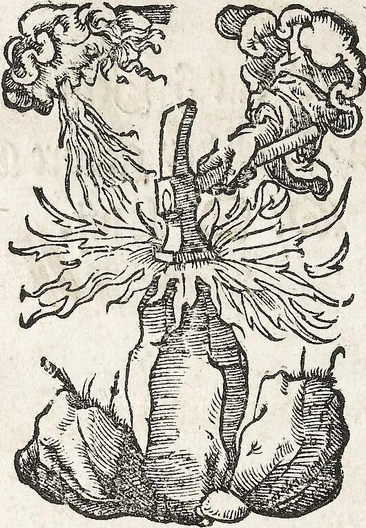 An illustration from Heydenweldt Vnd [und] irer Götter anfängcklicher vrsprung [Ursprung]: durch was verwhänungen den selben etwas vermeynter macht zugemessen, vmb dero wille[n], sie von den alten verehert worden ..., 1554, leaf 710