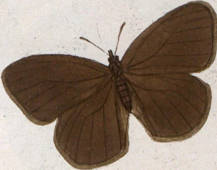 An illustration from (Band 1), 1806, leaf 101