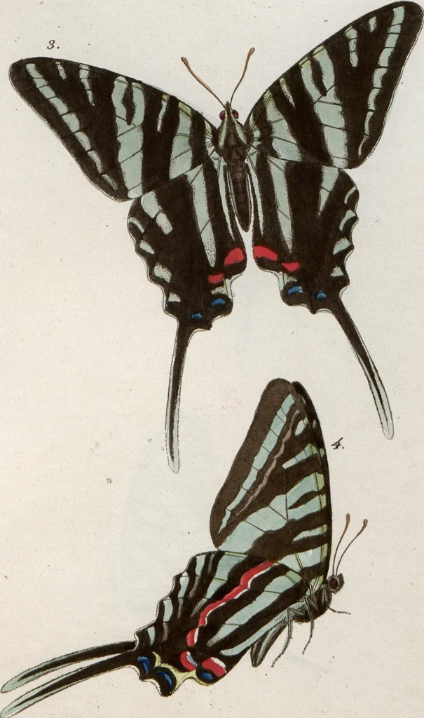 An illustration from (Band 1), 1806, leaf 112