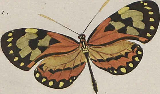 An illustration from (Band 1), 1806, leaf 12
