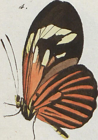 An illustration from (Band 1), 1806, leaf 17