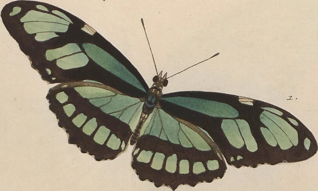 An illustration from (Band 1), 1806, leaf 23