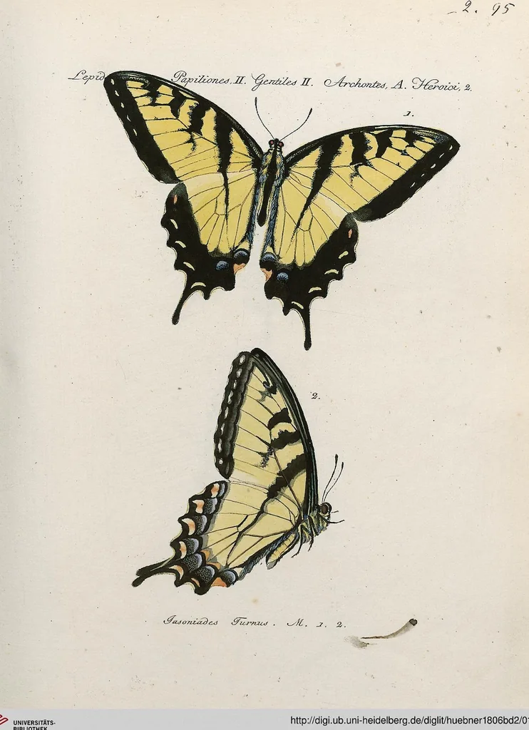 An illustration from (Band 2), 1806, leaf 103