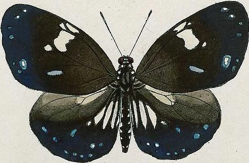 An illustration from (Band 2), 1806, leaf 16