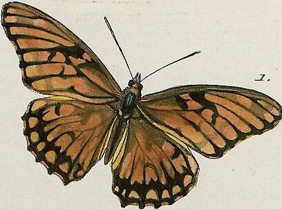 An illustration from (Band 2), 1806, leaf 28