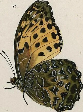 An illustration from (Band 2), 1806, leaf 30