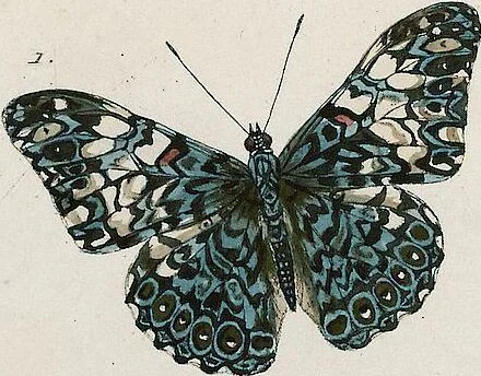 An illustration from (Band 2), 1806, leaf 48