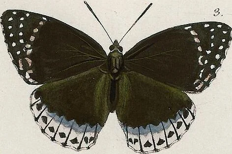 An illustration from (Band 2), 1806, leaf 54