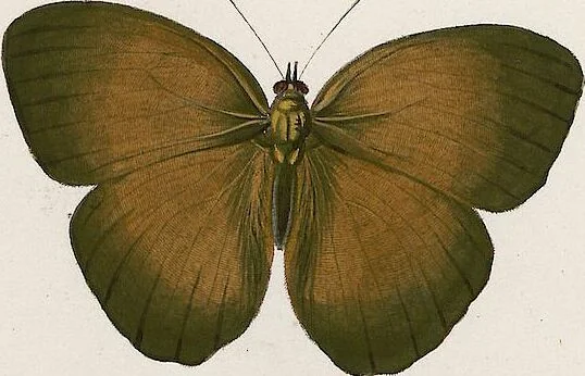 An illustration from (Band 2), 1806, leaf 90
