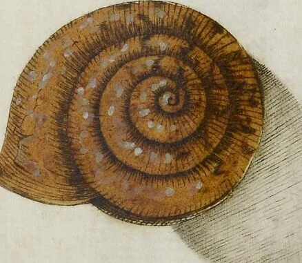 An illustration from ([Hauptwerk]), 1789, leaf 353