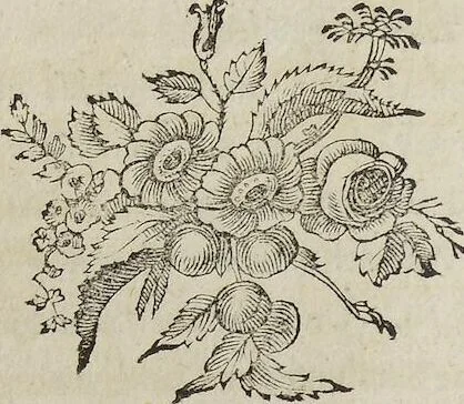 An illustration from ([Hauptwerk]), 1789, leaf 76