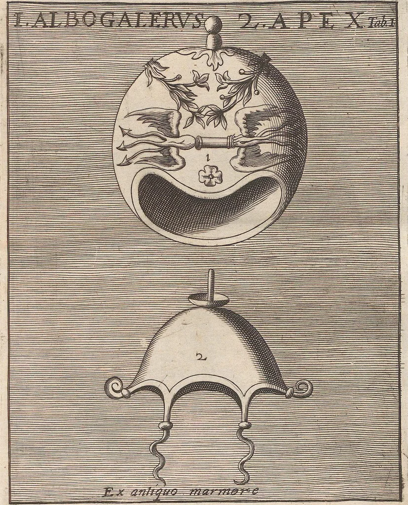 An illustration from Michaelis Angeli Causei De La Chausse Parisini Romanum Museum Sive Thesaurus Eruditae Antiquitatis: In Quo Gemmae, Idola, Insignia Sacerdotalia, Instrumenta sacrificijs, inservientia, Lucernae, Vasa, Bullae, Armillae, Fibulae, Claves, Annulli, Tesserae, Styli, Strigiles, Gutti, Phialae lacrymatoriae, vota, Signa Militaria, Marmora &c., 1707, leaf 222