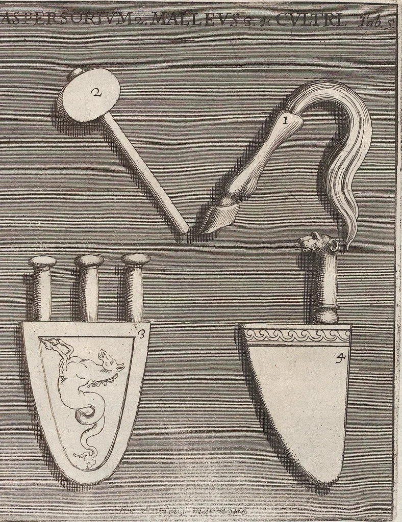 An illustration from Michaelis Angeli Causei De La Chausse Parisini Romanum Museum Sive Thesaurus Eruditae Antiquitatis: In Quo Gemmae, Idola, Insignia Sacerdotalia, Instrumenta sacrificijs, inservientia, Lucernae, Vasa, Bullae, Armillae, Fibulae, Claves, Annulli, Tesserae, Styli, Strigiles, Gutti, Phialae lacrymatoriae, vota, Signa Militaria, Marmora &c., 1707, leaf 226