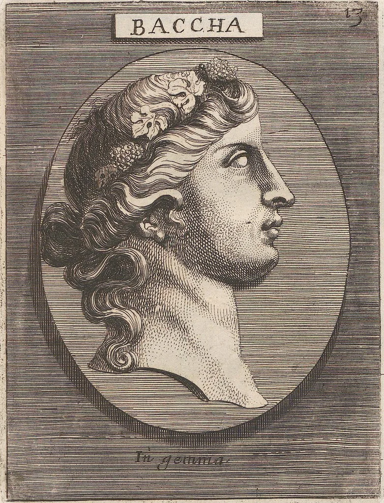 An illustration from Michaelis Angeli Causei De La Chausse Parisini Romanum Museum Sive Thesaurus Eruditae Antiquitatis: In Quo Gemmae, Idola, Insignia Sacerdotalia, Instrumenta sacrificijs, inservientia, Lucernae, Vasa, Bullae, Armillae, Fibulae, Claves, Annulli, Tesserae, Styli, Strigiles, Gutti, Phialae lacrymatoriae, vota, Signa Militaria, Marmora &c., 1707, leaf 69