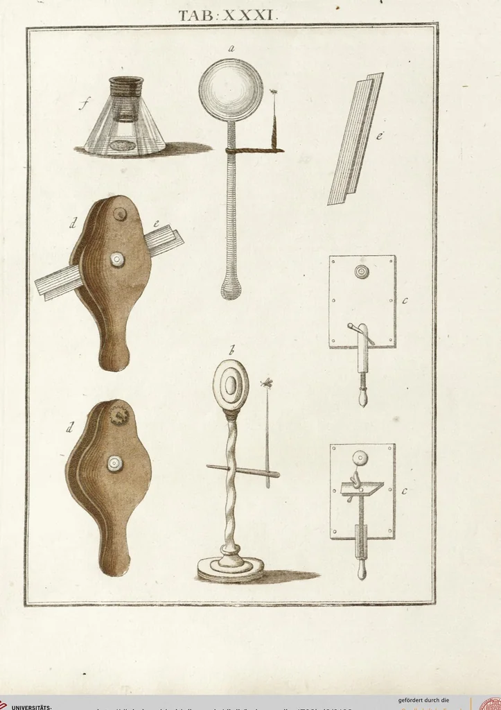 An illustration from (Band 2): Martin Frobenius Ledermüllers, Hochfürstlich- Brandenburg- Culmbachischen Justiz-Raths ... Nachlese seiner Mikroskopischen Gemüths- und Augen-Ergötzung: Bestehend in zehen fein illuminirten Kupfertafeln, Sammt deren Erklärung: und Einer getreuen Anweisung, wie man alle Arten Mikroskope geschickt, leicht und nützlich gebrauchen solle, 1762, leaf 103