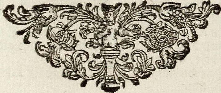 An illustration from (Band 2): Martin Frobenius Ledermüllers, Hochfürstlich- Brandenburg- Culmbachischen Justiz-Raths ... Nachlese seiner Mikroskopischen Gemüths- und Augen-Ergötzung: Bestehend in zehen fein illuminirten Kupfertafeln, Sammt deren Erklärung: und Einer getreuen Anweisung, wie man alle Arten Mikroskope geschickt, leicht und nützlich gebrauchen solle, 1762, leaf 163