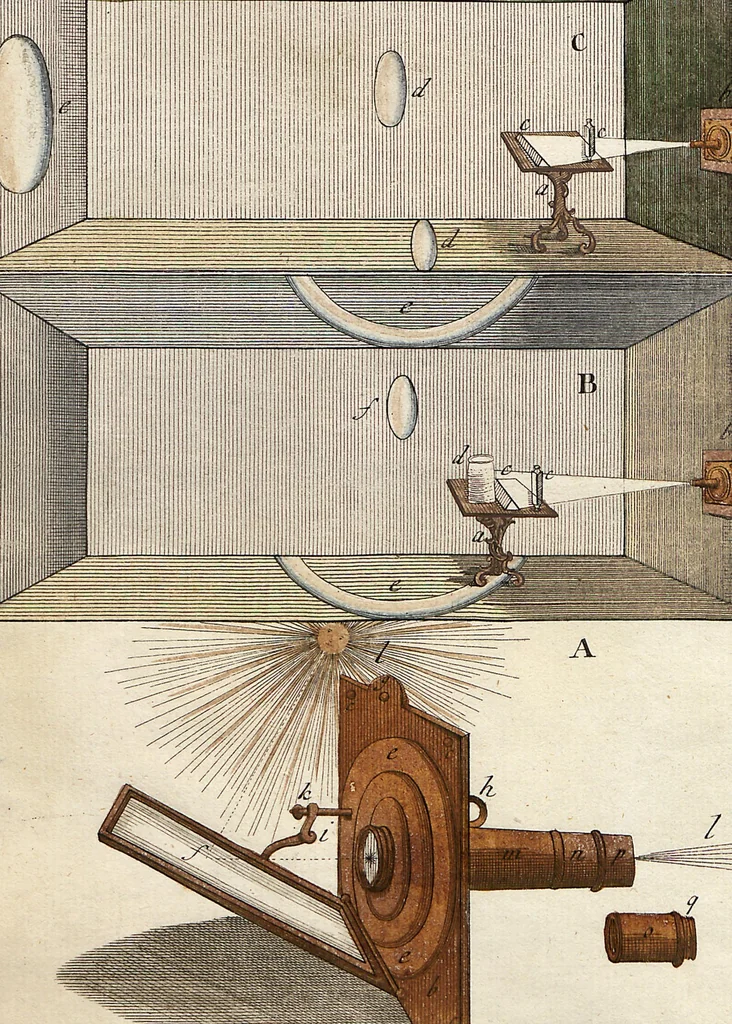 An illustration from (Band 2): Martin Frobenius Ledermüllers, Hochfürstlich- Brandenburg- Culmbachischen Justiz-Raths ... Nachlese seiner Mikroskopischen Gemüths- und Augen-Ergötzung: Bestehend in zehen fein illuminirten Kupfertafeln, Sammt deren Erklärung: und Einer getreuen Anweisung, wie man alle Arten Mikroskope geschickt, leicht und nützlich gebrauchen solle, 1762, leaf 25