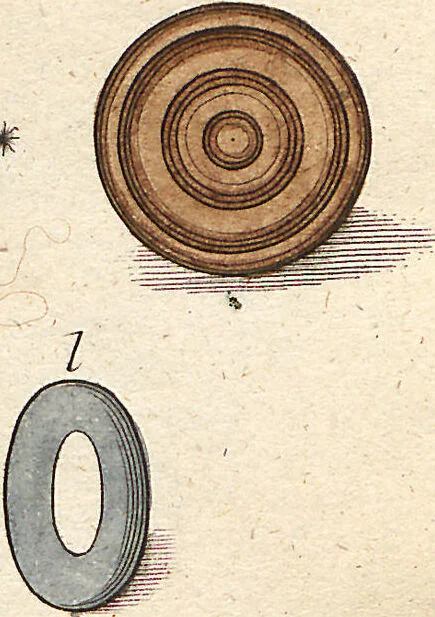 An illustration from (Band 2): Martin Frobenius Ledermüllers, Hochfürstlich- Brandenburg- Culmbachischen Justiz-Raths ... Nachlese seiner Mikroskopischen Gemüths- und Augen-Ergötzung: Bestehend in zehen fein illuminirten Kupfertafeln, Sammt deren Erklärung: und Einer getreuen Anweisung, wie man alle Arten Mikroskope geschickt, leicht und nützlich gebrauchen solle, 1762, leaf 32