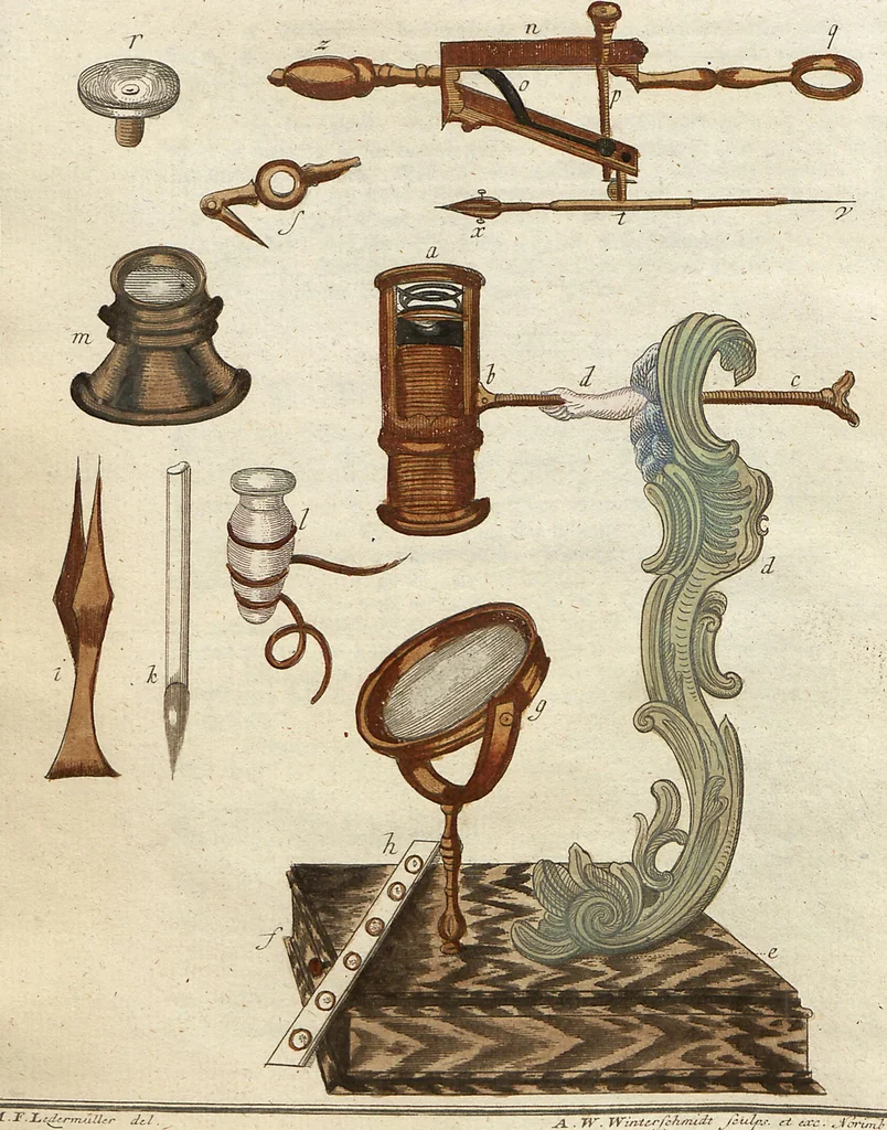 An illustration from (Band 2): Martin Frobenius Ledermüllers, Hochfürstlich- Brandenburg- Culmbachischen Justiz-Raths ... Nachlese seiner Mikroskopischen Gemüths- und Augen-Ergötzung: Bestehend in zehen fein illuminirten Kupfertafeln, Sammt deren Erklärung: und Einer getreuen Anweisung, wie man alle Arten Mikroskope geschickt, leicht und nützlich gebrauchen solle, 1762, leaf 35