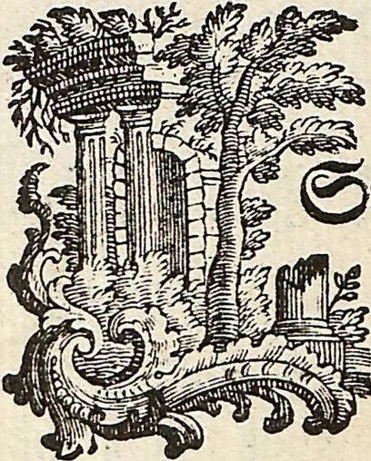 An illustration from (Band 2): Martin Frobenius Ledermüllers, Hochfürstlich- Brandenburg- Culmbachischen Justiz-Raths ... Nachlese seiner Mikroskopischen Gemüths- und Augen-Ergötzung: Bestehend in zehen fein illuminirten Kupfertafeln, Sammt deren Erklärung: und Einer getreuen Anweisung, wie man alle Arten Mikroskope geschickt, leicht und nützlich gebrauchen solle, 1762, leaf 5