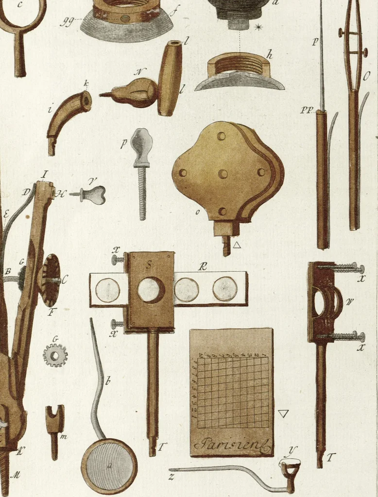 An illustration from (Band 2): Martin Frobenius Ledermüllers, Hochfürstlich- Brandenburg- Culmbachischen Justiz-Raths ... Nachlese seiner Mikroskopischen Gemüths- und Augen-Ergötzung: Bestehend in zehen fein illuminirten Kupfertafeln, Sammt deren Erklärung: und Einer getreuen Anweisung, wie man alle Arten Mikroskope geschickt, leicht und nützlich gebrauchen solle, 1762, leaf 50