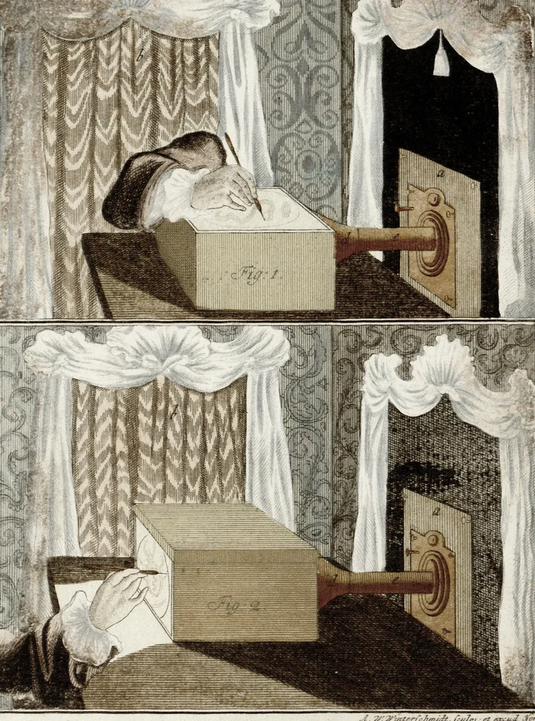 An illustration from (Band 2): Martin Frobenius Ledermüllers, Hochfürstlich- Brandenburg- Culmbachischen Justiz-Raths ... Nachlese seiner Mikroskopischen Gemüths- und Augen-Ergötzung: Bestehend in zehen fein illuminirten Kupfertafeln, Sammt deren Erklärung: und Einer getreuen Anweisung, wie man alle Arten Mikroskope geschickt, leicht und nützlich gebrauchen solle, 1762, leaf 78