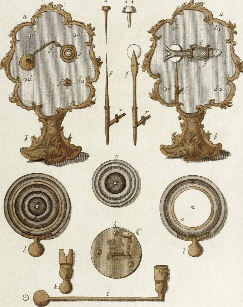An illustration from (Band 2): Martin Frobenius Ledermüllers, Hochfürstlich- Brandenburg- Culmbachischen Justiz-Raths ... Nachlese seiner Mikroskopischen Gemüths- und Augen-Ergötzung: Bestehend in zehen fein illuminirten Kupfertafeln, Sammt deren Erklärung: und Einer getreuen Anweisung, wie man alle Arten Mikroskope geschickt, leicht und nützlich gebrauchen solle, 1762, leaf 89