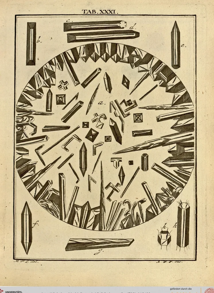 An illustration from (Hauptband): Bestehend in Ein hundert nach der Natur gezeichneten und mit Farben erleuchteten Kupfertafeln, sammt deren Erklärung, 1763, leaf 109