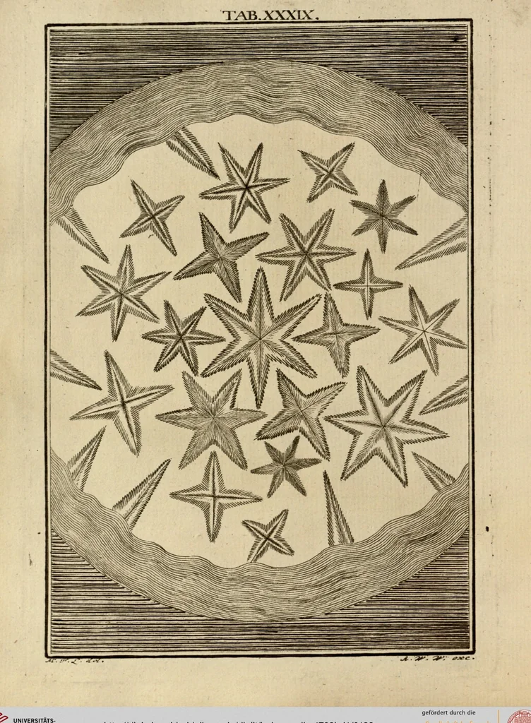 An illustration from (Hauptband): Bestehend in Ein hundert nach der Natur gezeichneten und mit Farben erleuchteten Kupfertafeln, sammt deren Erklärung, 1763, leaf 128