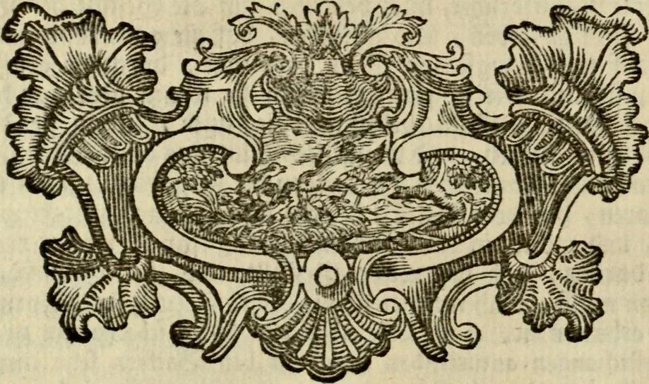 An illustration from (Hauptband): Bestehend in Ein hundert nach der Natur gezeichneten und mit Farben erleuchteten Kupfertafeln, sammt deren Erklärung, 1763, leaf 159