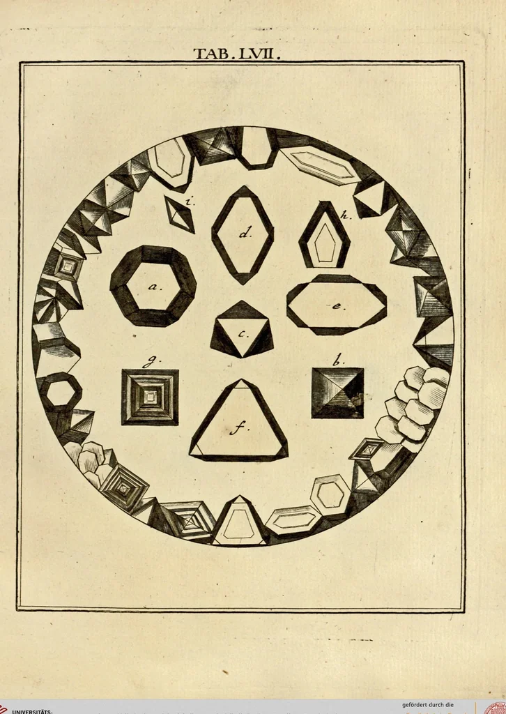 An illustration from (Hauptband): Bestehend in Ein hundert nach der Natur gezeichneten und mit Farben erleuchteten Kupfertafeln, sammt deren Erklärung, 1763, leaf 184