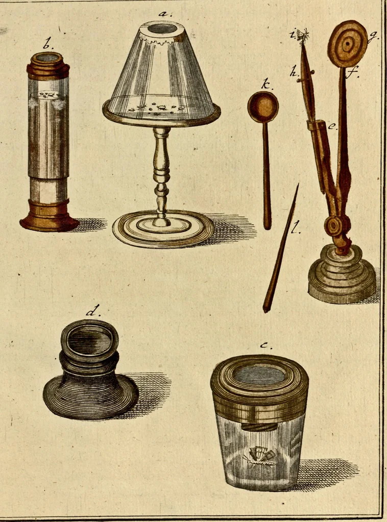 An illustration from (Hauptband): Bestehend in Ein hundert nach der Natur gezeichneten und mit Farben erleuchteten Kupfertafeln, sammt deren Erklärung, 1763, leaf 221