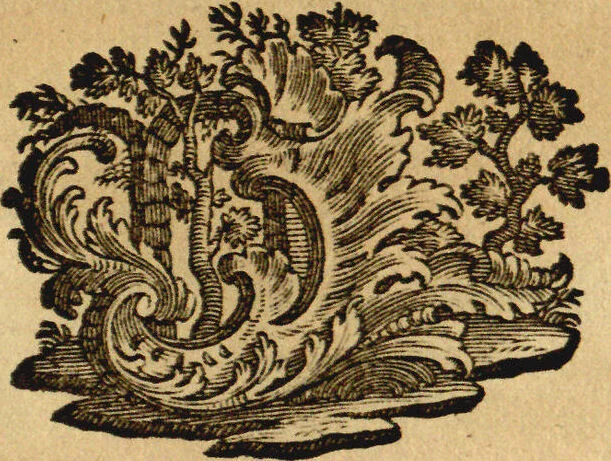 An illustration from Martin Frobenius Ledermüllers, Hochfürstlich- Brandenburg- Culmbachischen Justiz-Raths [et]c. abgenöthigte Vertheidigung als Anhang seiner Mikroskopischen Gemüths- und Augen-Ergötzung: Wider einige von dem vornehmen Herrn Verfasser des Neuesten aus dem Reiche der Pflanzen, und der Geschichte der Stubenfliege, in diesen beeden Schriften geäuserte Zweifel und Vorwürfe, 1765, leaf 22