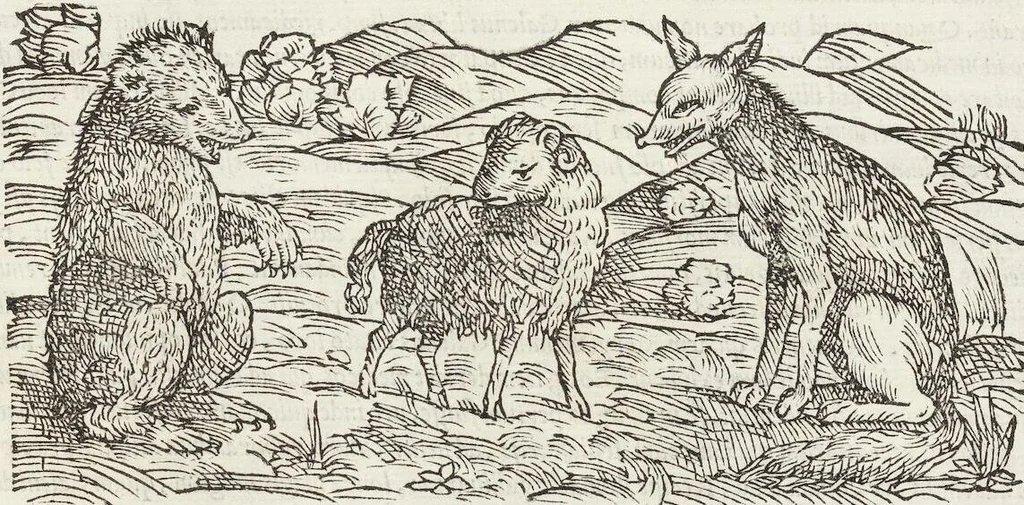 An illustration from Petri Andreae Matthioli Medici Senensis Commentarii, In Libros Sex Pedacii Dioscoridis Anazarbei, De Medica Materia: Adiectis quàm plurimis plantarum & animalium imaginibus, eodem authore, 1554, leaf 237