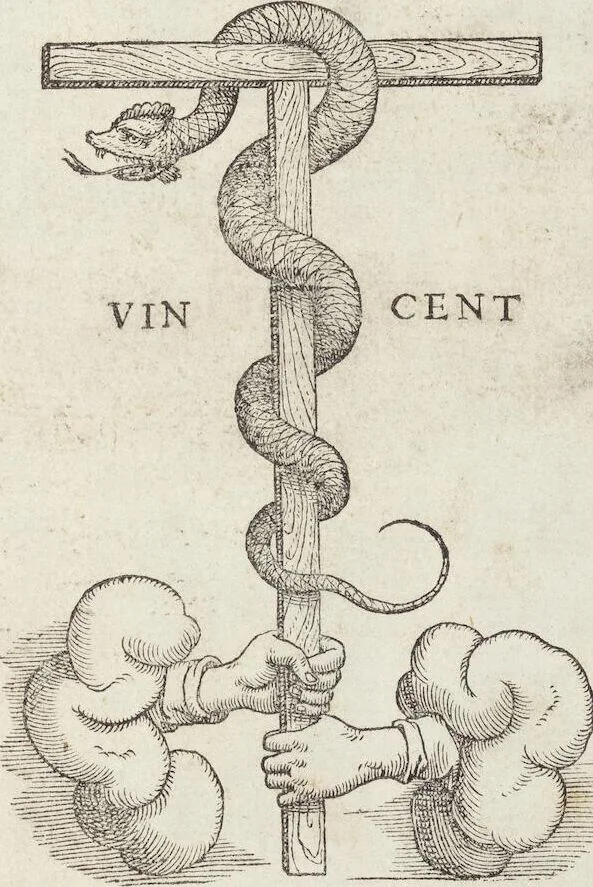 An illustration from Petri Andreae Matthioli Medici Senensis Commentarii, In Libros Sex Pedacii Dioscoridis Anazarbei, De Medica Materia: Adiectis quàm plurimis plantarum & animalium imaginibus, eodem authore, 1554, leaf 7