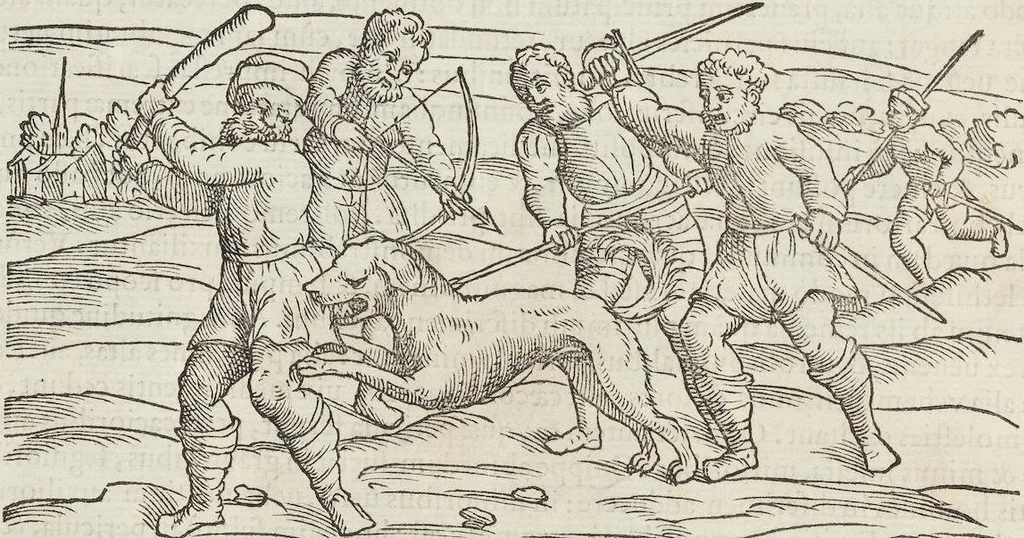 An illustration from Petri Andreae Matthioli Medici Senensis Commentarii, In Libros Sex Pedacii Dioscoridis Anazarbei, De Medica Materia: Adiectis quàm plurimis plantarum & animalium imaginibus, eodem authore, 1554, leaf 738