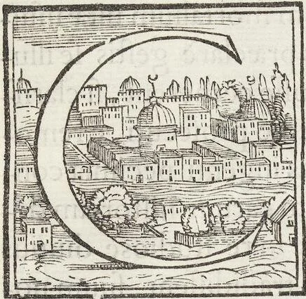An illustration from Petri Andreae Matthioli Medici Senensis Commentarii, In Libros Sex Pedacii Dioscoridis Anazarbei, De Medica Materia: Adiectis quàm plurimis plantarum & animalium imaginibus, eodem authore, 1554, leaf 9