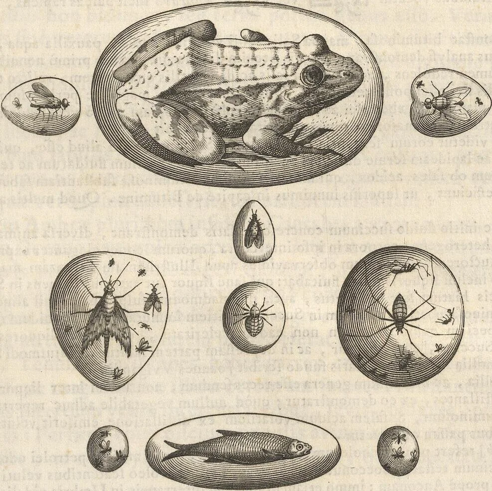 An illustration from Michaelis Mercati Samminiatensis Metallotheca: Opus Posthumum, Auctoritate, & Munificentiâ Clementis Undecimi Pontificis Maximi E' tenebris in lucem eductum; Opera autem, & studio Joannis Mariae Lancisii Archiatri Pontificii Illustratum. Cui Accessit Appendix Cum XIX. Recens Inventis Iconibus, 1719, leaf 167