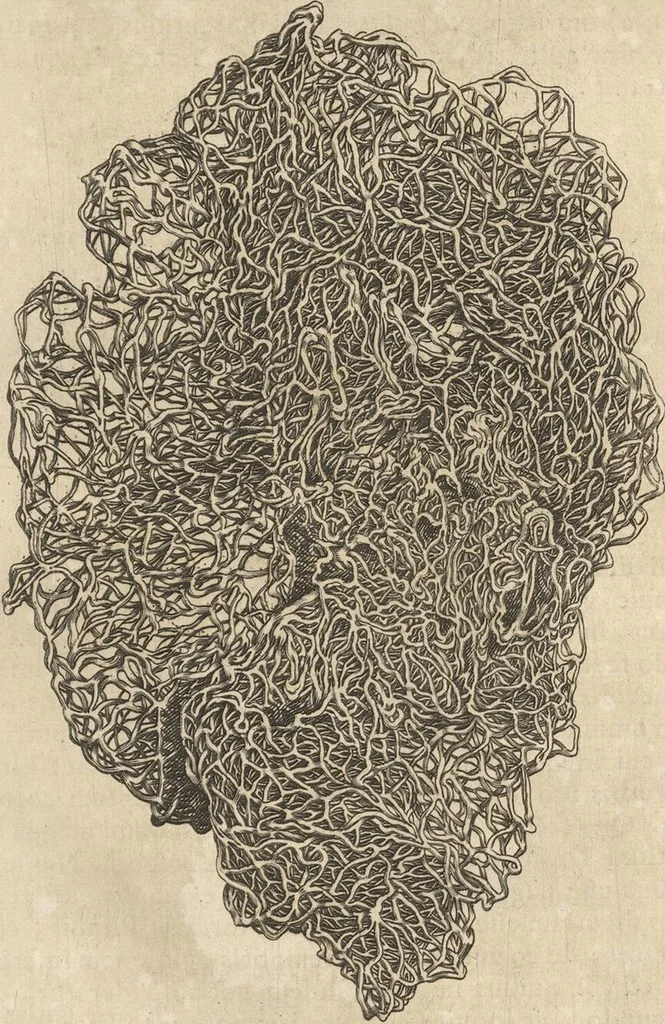 An illustration from Michaelis Mercati Samminiatensis Metallotheca: Opus Posthumum, Auctoritate, & Munificentiâ Clementis Undecimi Pontificis Maximi E' tenebris in lucem eductum; Opera autem, & studio Joannis Mariae Lancisii Archiatri Pontificii Illustratum. Cui Accessit Appendix Cum XIX. Recens Inventis Iconibus, 1719, leaf 177