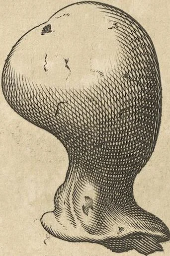 An illustration from Michaelis Mercati Samminiatensis Metallotheca: Opus Posthumum, Auctoritate, & Munificentiâ Clementis Undecimi Pontificis Maximi E' tenebris in lucem eductum; Opera autem, & studio Joannis Mariae Lancisii Archiatri Pontificii Illustratum. Cui Accessit Appendix Cum XIX. Recens Inventis Iconibus, 1719, leaf 180